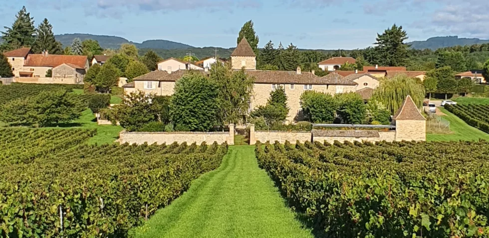 Vin Viré-Clessé, Domaine Thévenet Quintaine, Domaine de la Bongran