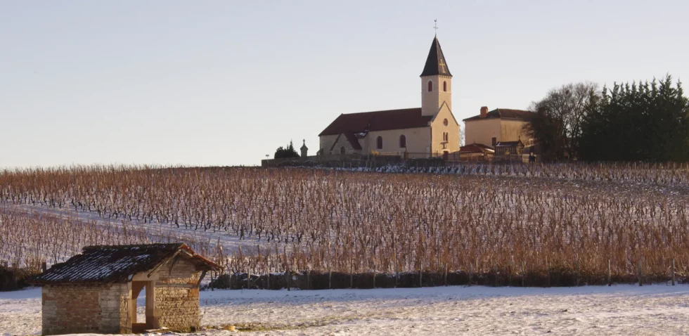 Vin Viré-Clessé, Domaine Thévenet Quintaine, Domaine de la Bongran