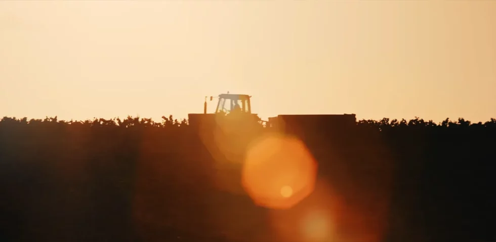 Viré-Clessé Thévenet Quintaine Domaine de la BONGRAN