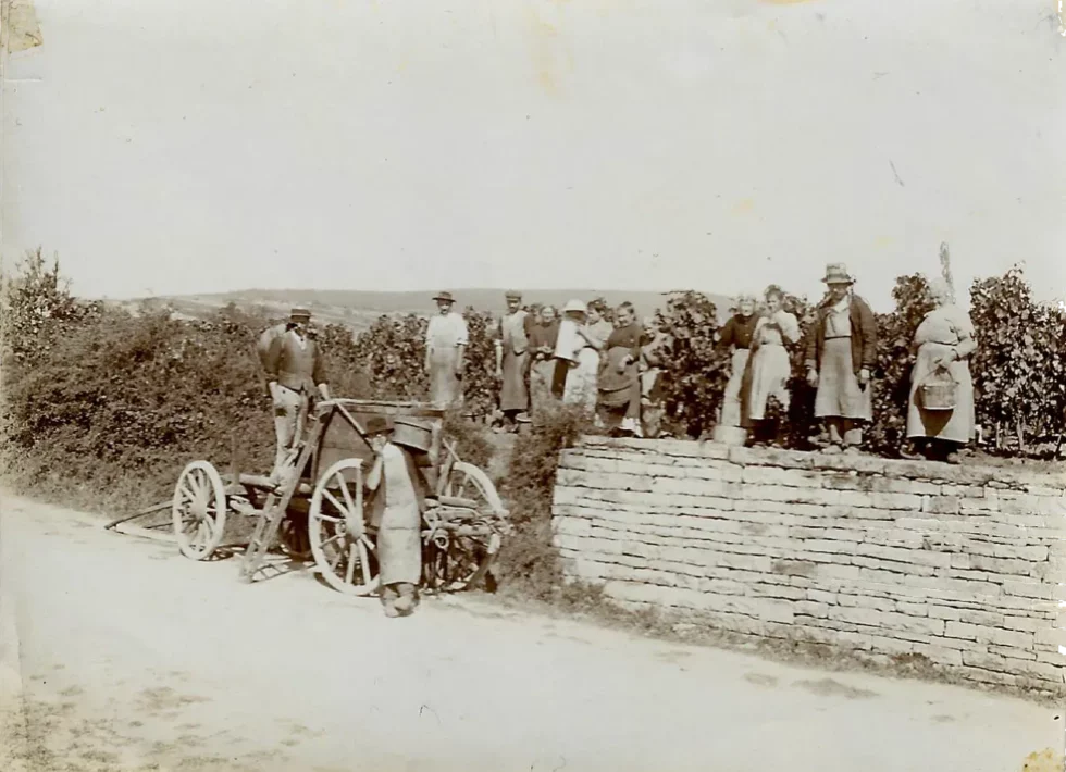 Viré-Clessé Thévenet Quintaine Domaine de la BONGRAN